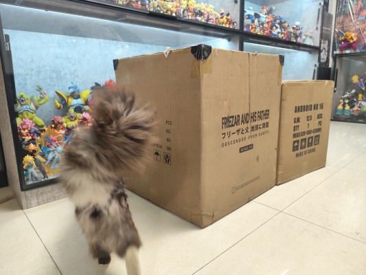 S.H.Figuarts  龙珠Z 库尔德王