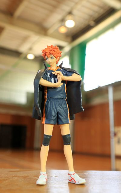 排球少年 造型師×写真家 A款 日向翔陽