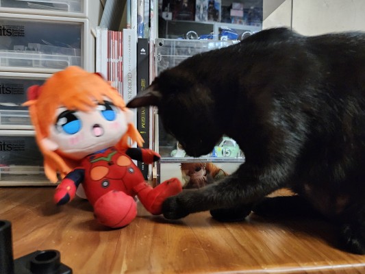 KURIPAN 新世纪福音战士新剧场版：破 毛绒玩偶 绫波零/式波・明日香・兰格雷/真希波·真理·伊拉丝多莉亚斯