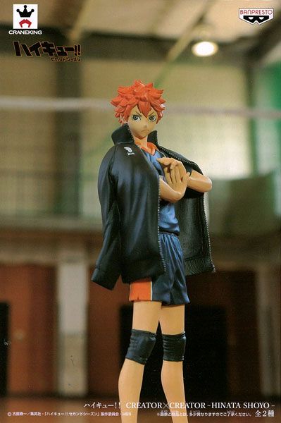 排球少年 造型師×写真家 A款 日向翔陽