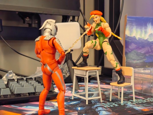 终极街霸2：最后的挑战者 嘉米·怀特