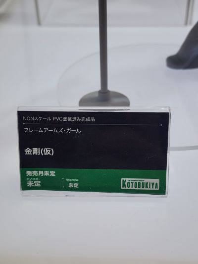 机甲少女 金刚 泳装