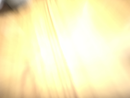 蔚蓝档案 Chocopuni 毛绒玩偶 小鸟游星野