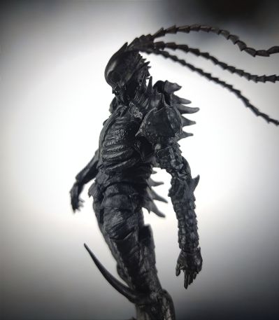 ABARA 黑奇居子 那由多