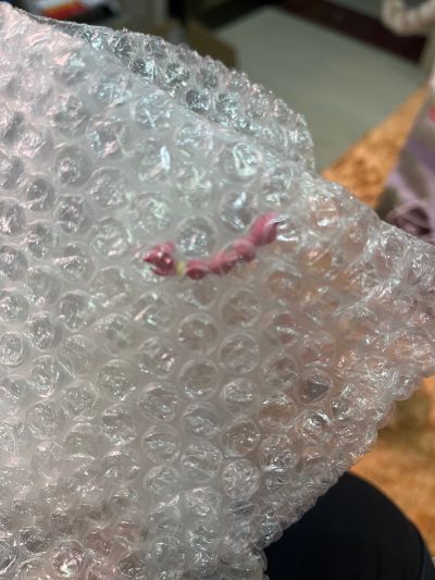 乱马1/2 动画版 -悠闲时光-乱马