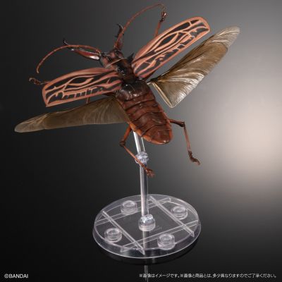 进化生物大图鉴 长牙大天牛 + 虎甲虫 展示架套装