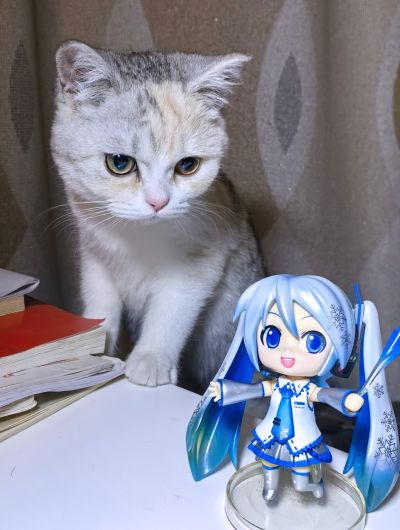 粘土人 #097 雪未来 2010冬 WEB通版限定