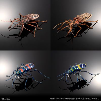 进化生物大图鉴 长牙大天牛 + 虎甲虫 展示架套装