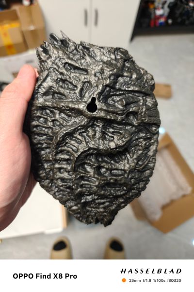 异形:夺命舰 套装