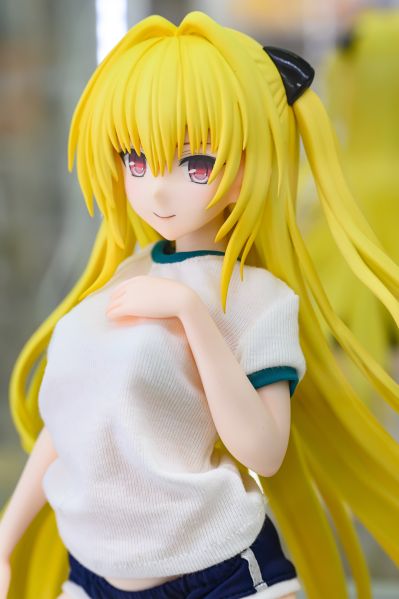 B-style 出包王女DARKNESS 金色暗影 泳装 with 体操服