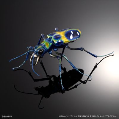 进化生物大图鉴 长牙大天牛 + 虎甲虫 展示架套装