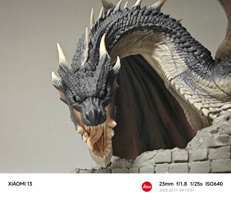 一番赏 怪物猎人 20周年纪念 B奖 黑龙