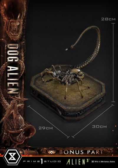 展览馆线XL 异形3 异形狗