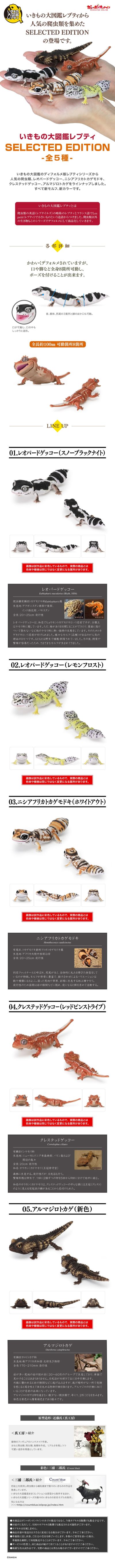 爬行生物大图鉴 精选版