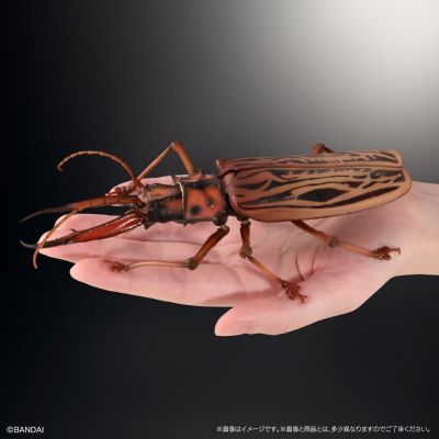 进化生物大图鉴 长牙大天牛 + 虎甲虫 展示架套装