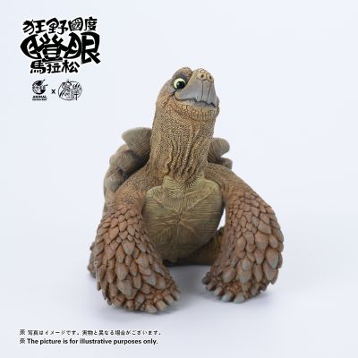 狂野国度瞪眼马拉松 苏卡达