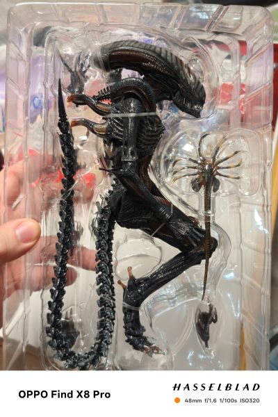 异形:夺命舰 套装