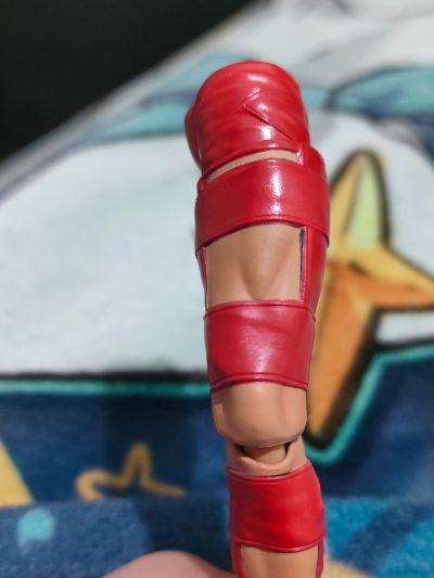 S.H.Figuarts T.M.Revolution   RED HOT LIMITED EDITION