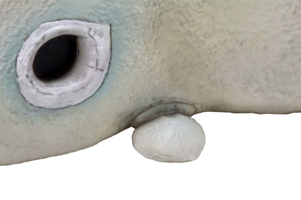 1/6特摄系列 二次元怪兽 加巴顿（A型）