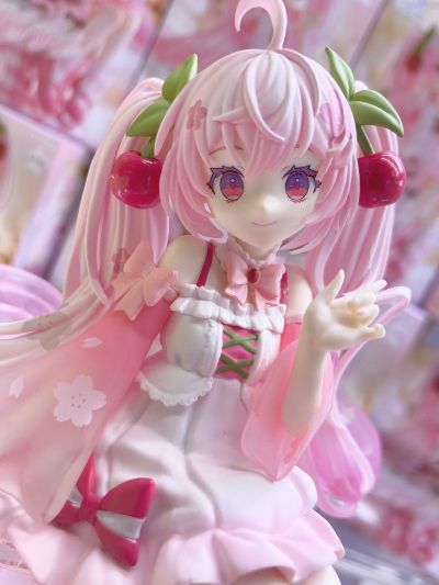 压泡面 初音未来 樱花未来 2025