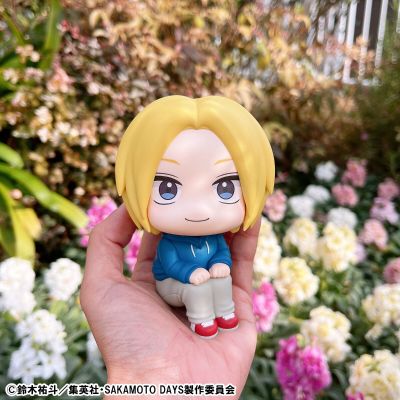 Look Up 坂本日常  朝仓信