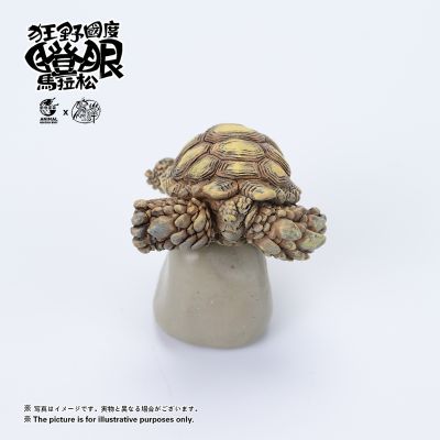 狂野国度瞪眼马拉松 苏卡达