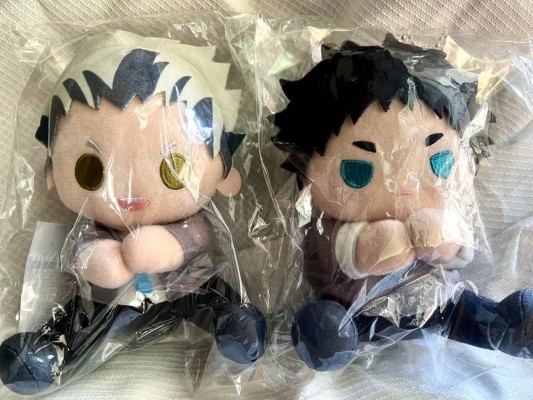 贴心玩偶 排球少年!! 日向翔阳、影山飞雄、月岛萤、及川彻、岩泉一、黑尾铁朗、孤爪研磨、木兔光太郎、赤苇京治、宫侑、宫治、北信介