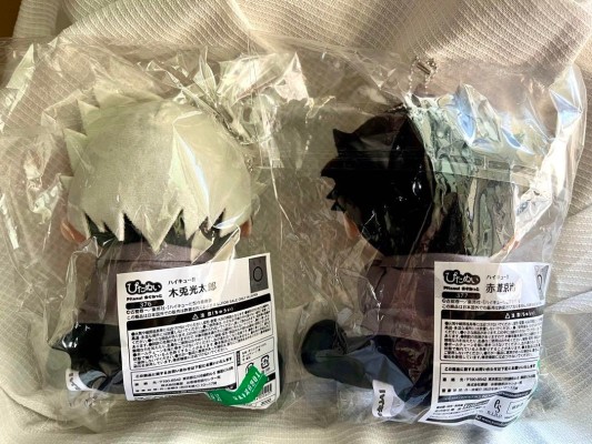 贴心玩偶 排球少年!! 日向翔阳、影山飞雄、月岛萤、及川彻、岩泉一、黑尾铁朗、孤爪研磨、木兔光太郎、赤苇京治、宫侑、宫治、北信介