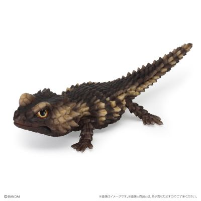 爬行生物大图鉴 精选版