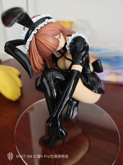 姬宫妃奈 兔女郎