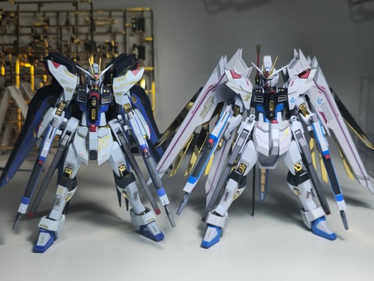 METAL ROBOT魂＜机动战士系列＞强袭自由高达二式