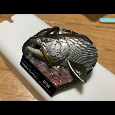 STRIKE FANTASY 禧玛诺 樱鳟