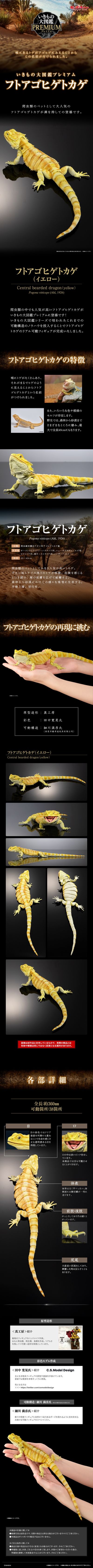 高级生物大图鉴 鬃狮蜥（黄色）