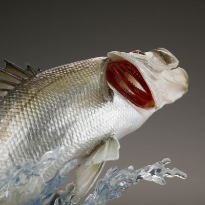 STRIKE FANTASY 禧玛诺 鲈鱼