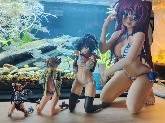 向坂环 でらっくす