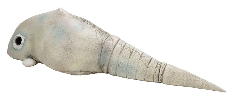 1/6特摄系列 二次元怪兽 加巴顿（A型）