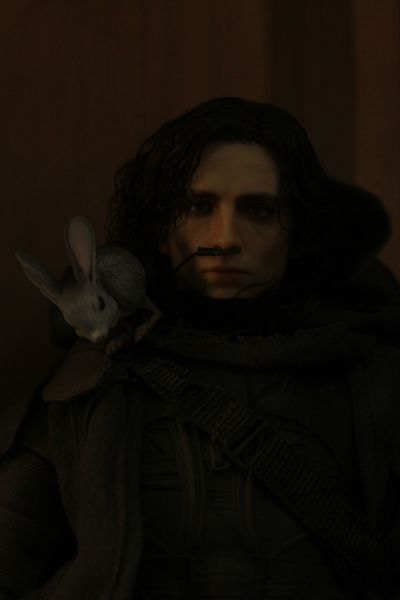 QOSMOS X 铁甲小宝 第五弹 呱呱蛙+丸子龙