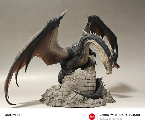 一番赏 怪物猎人 20周年纪念 B奖 黑龙