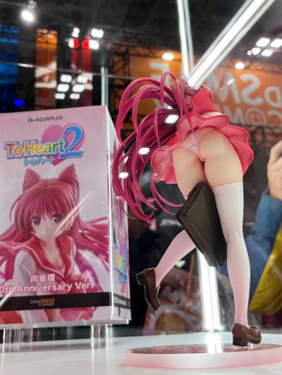 ToHeart2 向坂环 20周年纪念