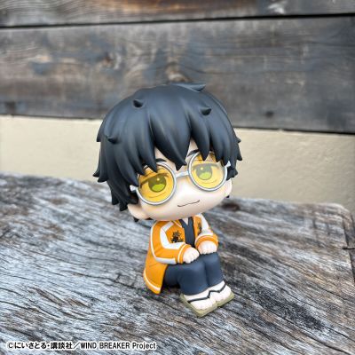 Look Up 防风铃 十龟条