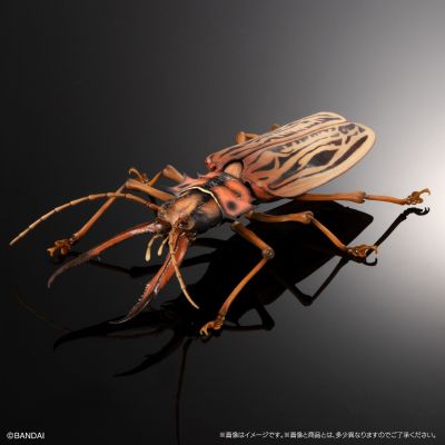 进化生物大图鉴 长牙大天牛 + 虎甲虫 展示架套装