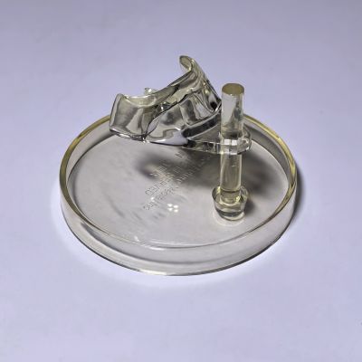 粘土人 #097 雪未来 2010冬 WEB通版限定