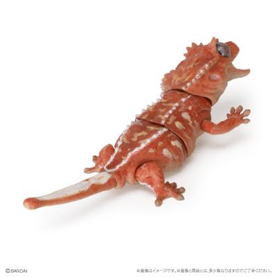 爬行生物大图鉴 精选版