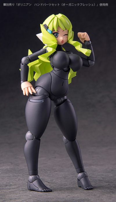 机械新人类 FLL凯莉/拉尼娅(黑色肌肤)