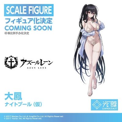 鹩（大凤） 夜间泳池（暫称）