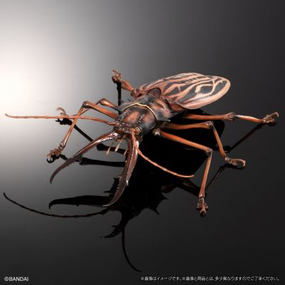 进化生物大图鉴 长牙大天牛 + 虎甲虫 展示架套装