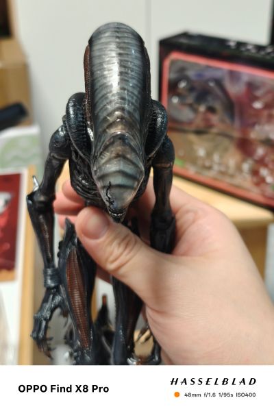 异形:夺命舰 套装