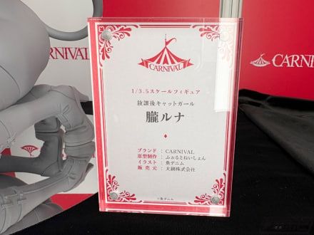 放学后的猫少女  胧露娜