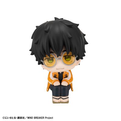 Look Up 防风铃 十龟条