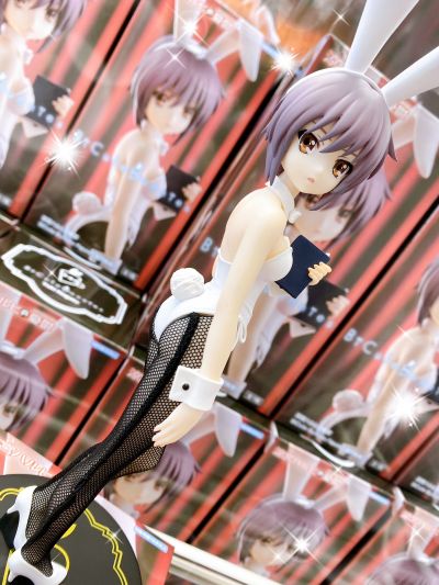 BiCute Bunnies 凉宫春日的忧郁  长门有希